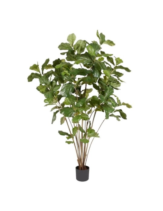 Pianta Artificiale Ficus Lyrata con Vaso H180 cm - EDG Enzo De Gasperi