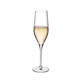 Nude Set di 2 flute Vinifera