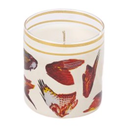 14082-Seletti candela Wings Toiletpaper Candida Celiento