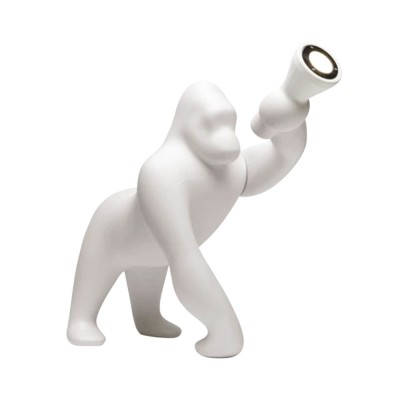 Kong XS