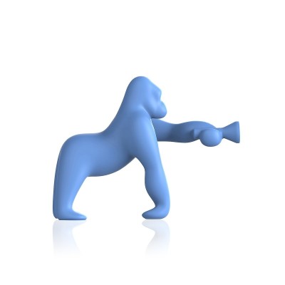 Kong XS