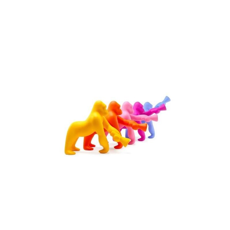 Kong XS
