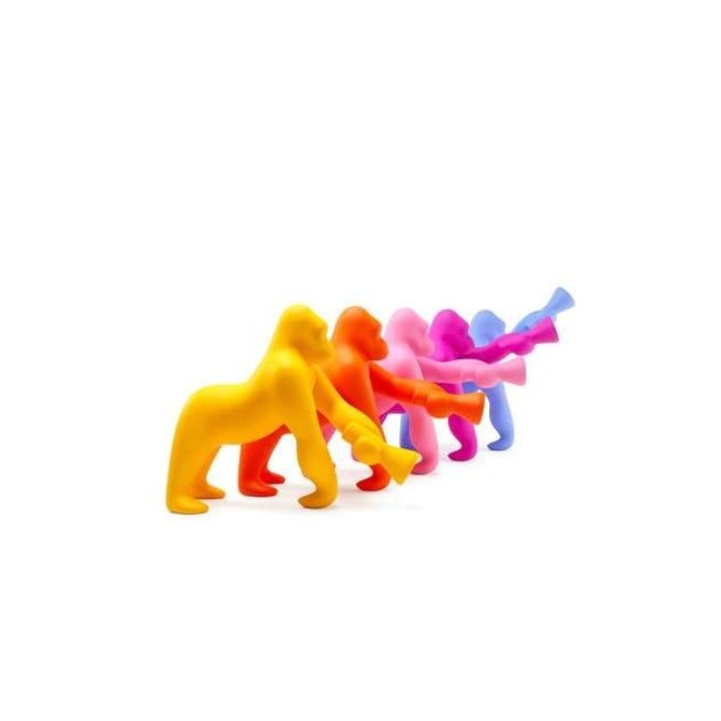 Kong XS